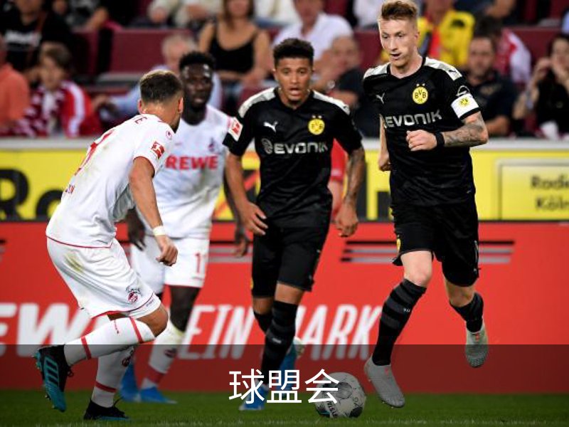 球盟会品牌故事